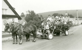 Pojízdná Rohelanka při oslavách 7OO let obce Rohle, 1990